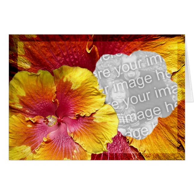 Hibiskusmall 1 hälsningskort (Framsidan Horizontal)