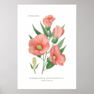 Hibiskusmilitaris Poster