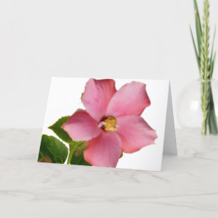 Hibiskustackkort i franskt tack kort