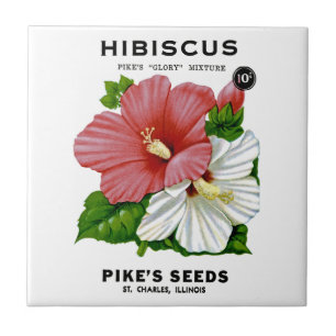 Hibiskusvintage kärnar ur paketet kakelplatta