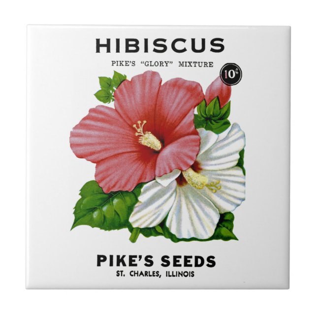 Hibiskusvintage kärnar ur paketet kakelplatta (Framsidan)
