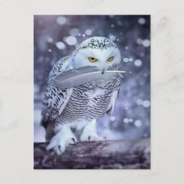Hibou des neiges vykort