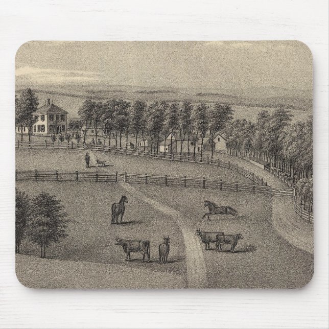 Hickmann Nebraska Musmatta (Framsidan)