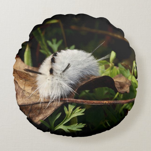 Hickory Tussock Moth Rund Kudde (Framsidan)