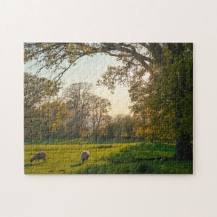 Hidcote, Cotswments Pussel