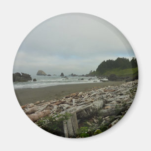 Hidden Beach I vid Redwood National Park Magnet