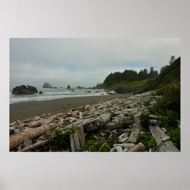Hidden Beach I vid Redwood National Park Poster (Framsidan)