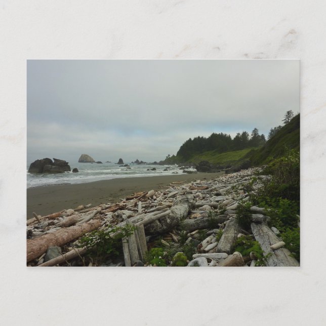 Hidden Beach I vid Redwood National Park Vykort (Framsida)