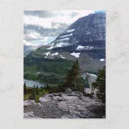Hidden Lake Overlook Glacier National Park Montana Vykort