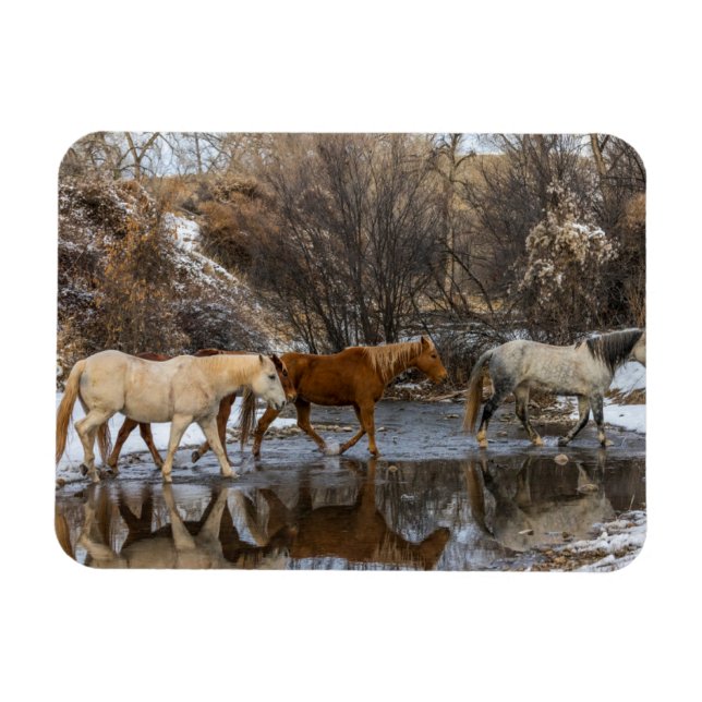Hideout Horse Ranch Magnet (Horisontell)