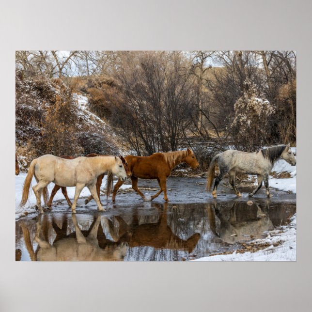 Hideout Horse Ranch Poster (Framsidan)