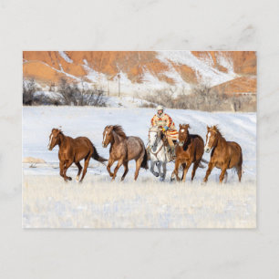 Hideout Horse Ranch, Wrangler och Horses Vykort