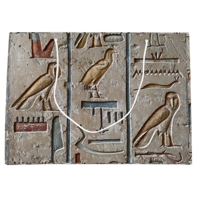 Hieroglyf Forntida Egypten Språk Ingraverad Text (Framsidan)
