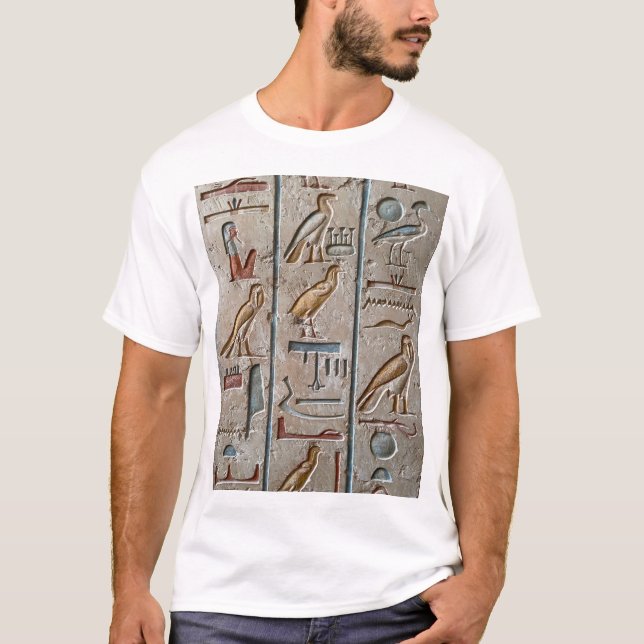 Hieroglyfer för antika Egyptener T Shirt (Framsida)