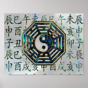 Hieroglyphs för shui för abalone- och guldBagua Poster