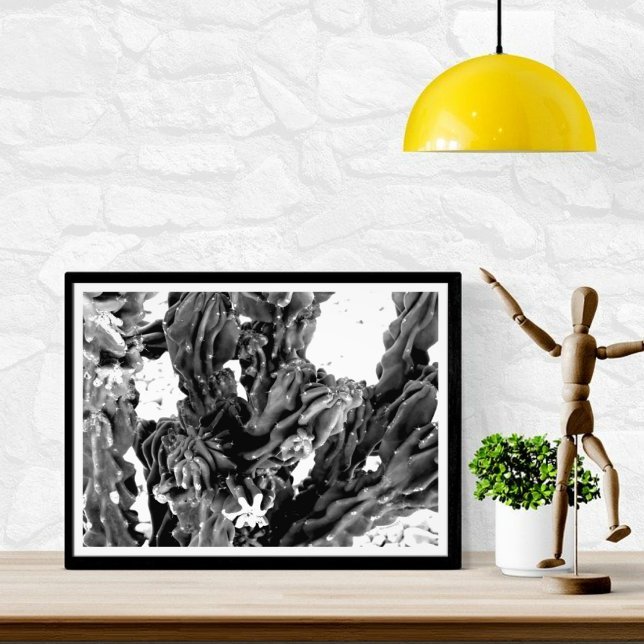High Contrast Cactus Photo/ Black and White Fototryck (Skapare uppladdad)