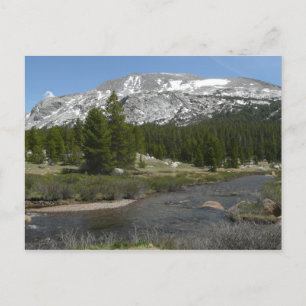 High Country Mountain Stream II vid Yosemite Vykort