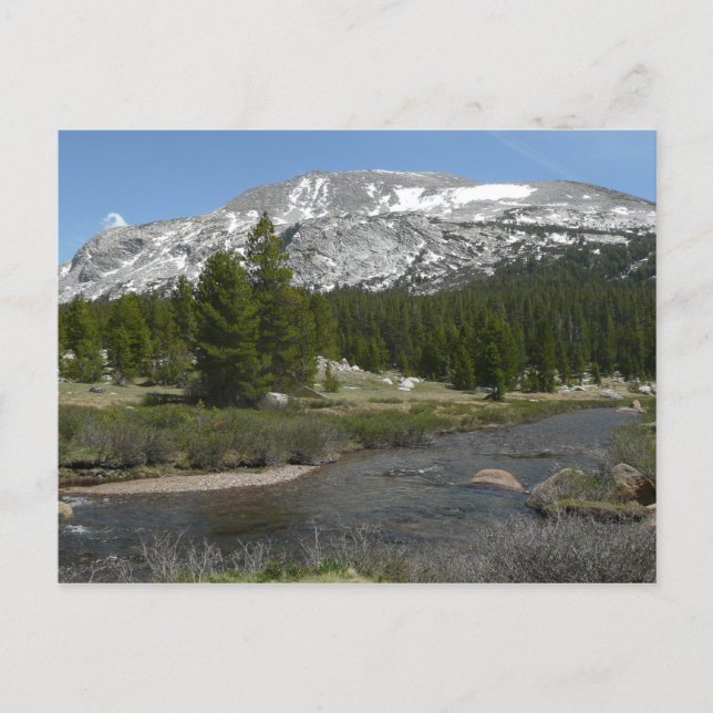 High Country Mountain Stream II vid Yosemite Vykort (Framsida)