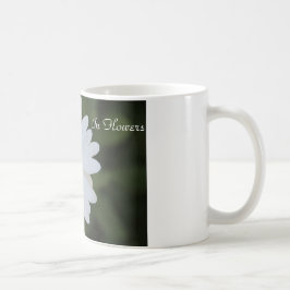 High Definition Photography of a Daisy on Mugg
