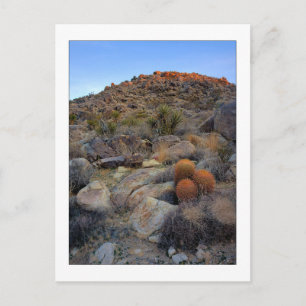 "High Desert Garden" Vykort