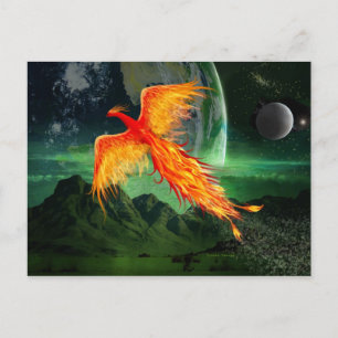 High Flies Phoenix Vykort