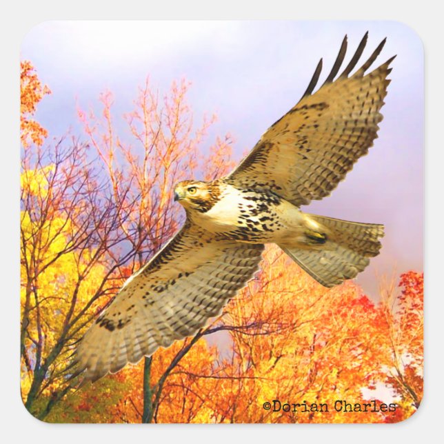 "High Flyer"-fästen Fyrkantigt Klistermärke (Framsida)