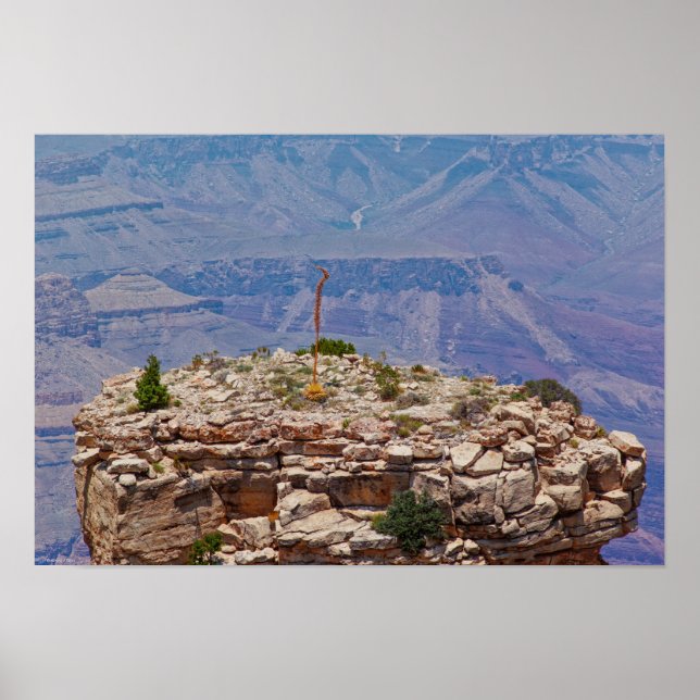 High Garden Poster (Framsidan)