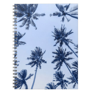 High handflatan träd, blå himmel. anteckningsbok