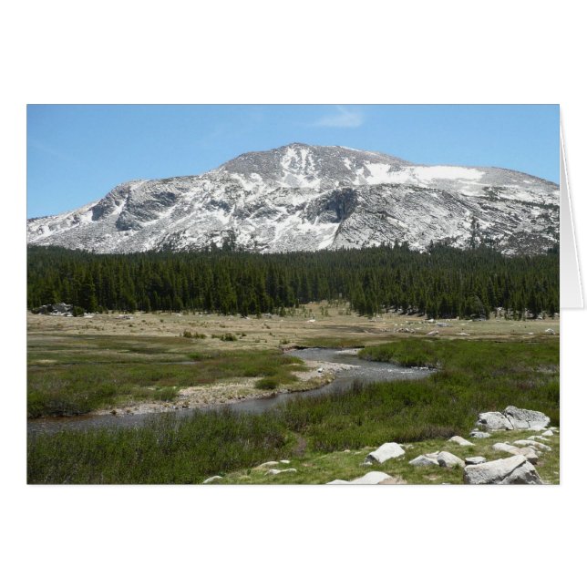 High Land Mountain Stream I Hälsningskort (Framsidan Horizontal)