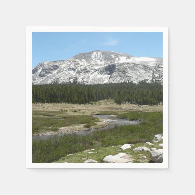 High Land Mountain Stream I Pappersservett (Framsidan)