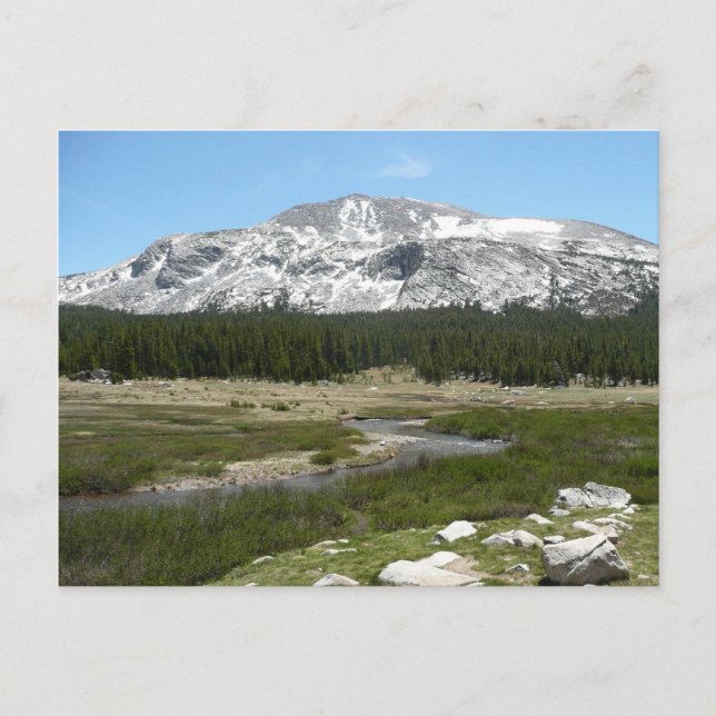 High Land Mountain Stream I Vykort (Framsida)