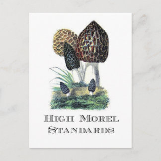 High Morel Standards Vykort