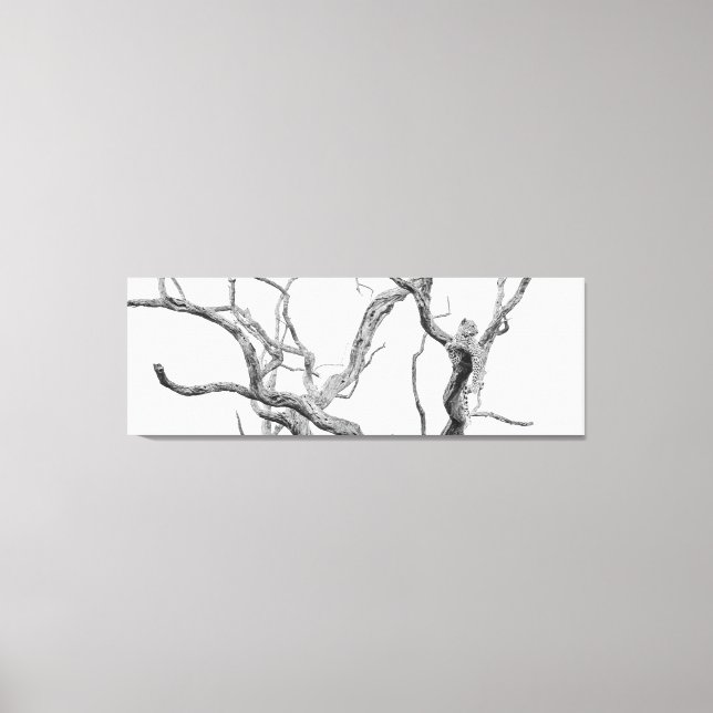 High nyckel Leopard: Inkanyeni Female Canvastryck (Framsida)