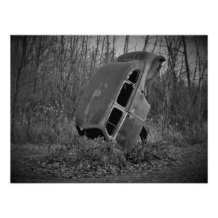 "High Prairie Installation" Fototryck