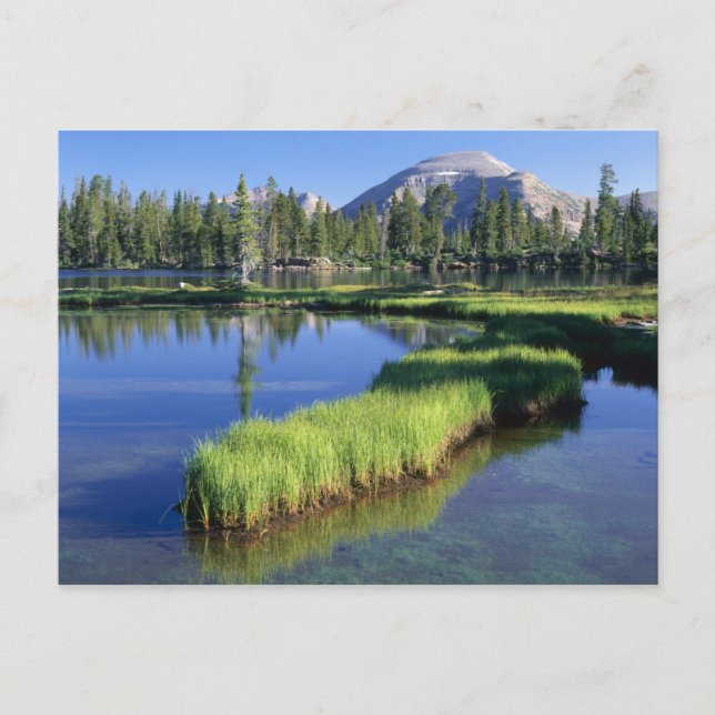 HIGH UINTAS WILDERNESS, UT, US, halvö, Vykort (Framsida)