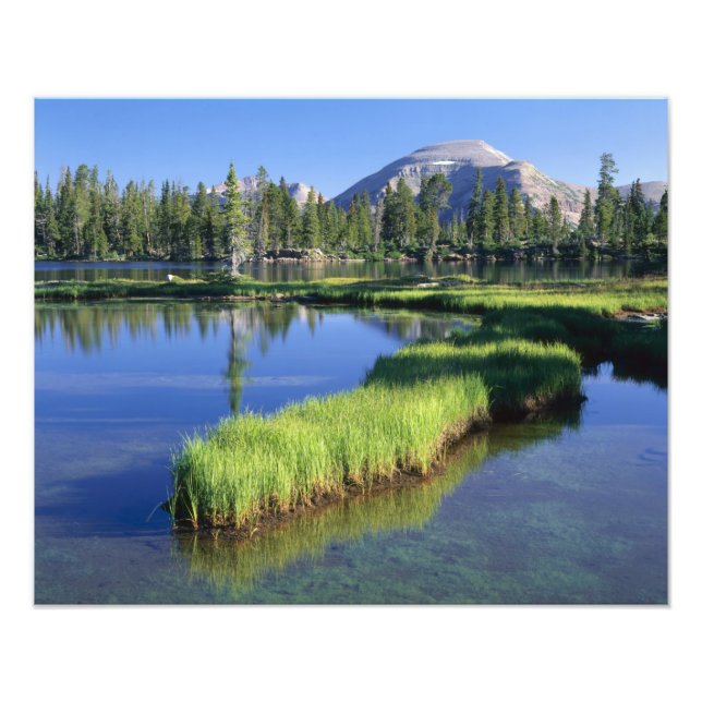 HIGH UINTAS WILDERNESS, UT, USA, halvö, Fototryck (Framsidan)
