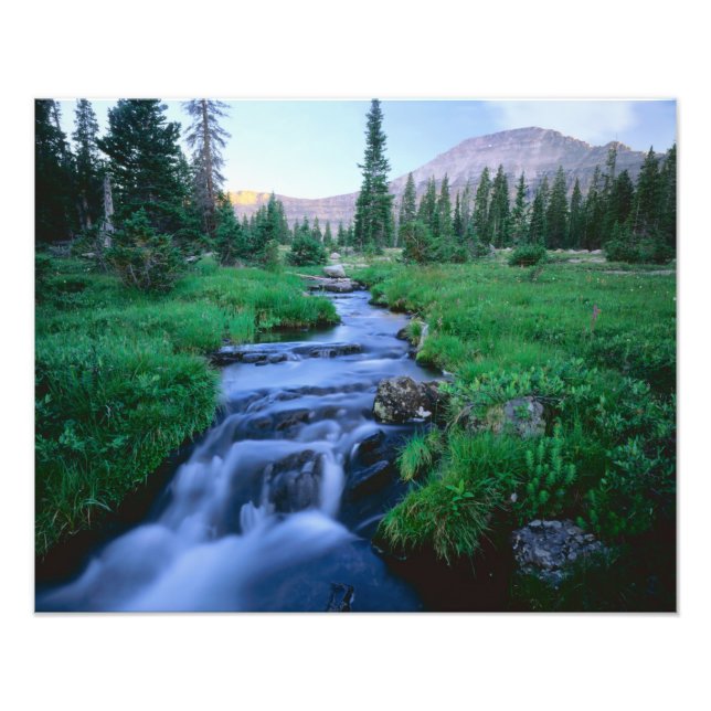 HIGH UINTAS WILDERNESS, UTAH. Stillwater Fork Fototryck (Framsidan)