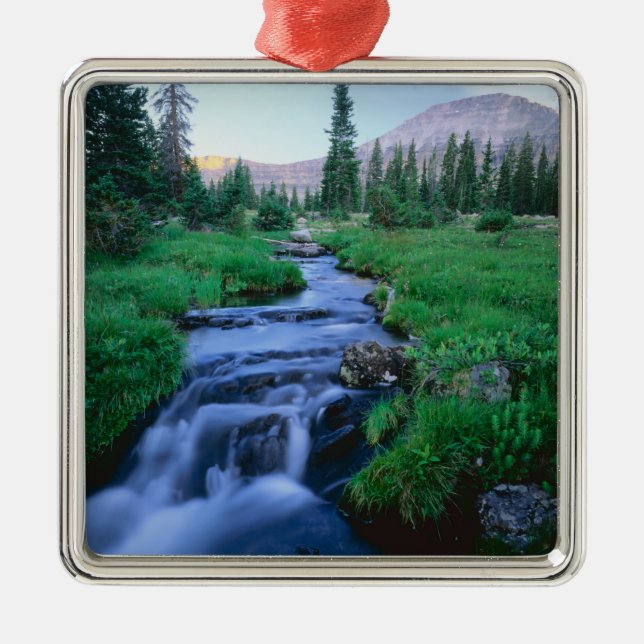HIGH UINTAS WILDERNESS, UTAH. Stillwater Fork Julgransprydnad Metall (Framsidan)