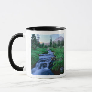 HIGH UINTAS WILDERNESS, UTAH. Stillwater Fork Mugg