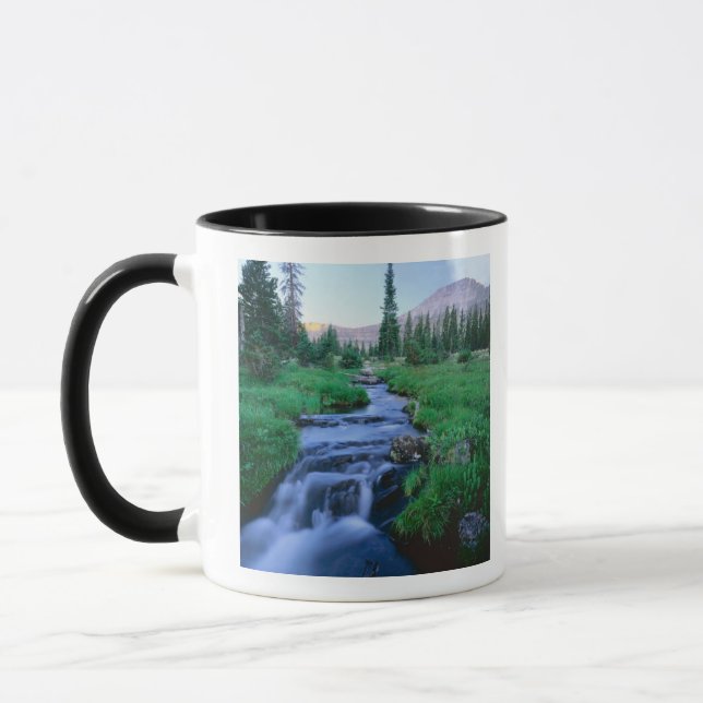 HIGH UINTAS WILDERNESS, UTAH. Stillwater Fork Mugg (Vänster)