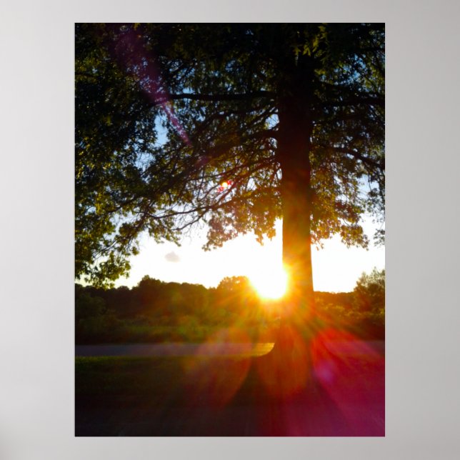 Highbanks Metro Park at Sunset, Columbus, Ohio Poster (Framsidan)