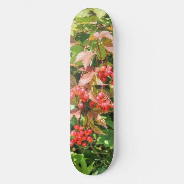 Highbush Cranbär Skateboard Bräda 21,5 Cm (Framsida)