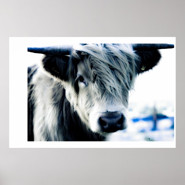 Highland Blue Poster (Framsidan)