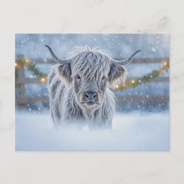 Highland Calf in Snow Christmas Holiday Vykort (Framsida)