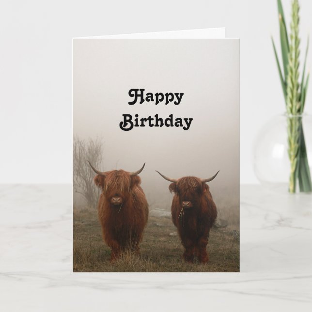 Highland Cattle Birthday Kort (Framsida)