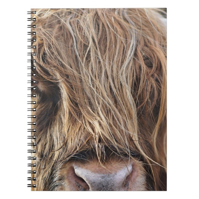 HIGHLAND CATTLE COW ANSIKTE ANTECKNINGSBOK (Framsidan)