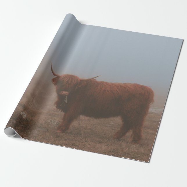 HIGHLAND CATTLE COW PRESENTPAPPER (Utrullad)