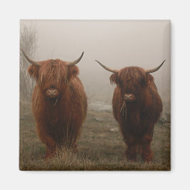 Highland Cattle Fog Photo Magnet