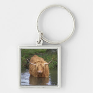 Highland Cattle Fyrkantig Silverfärgad Nyckelring