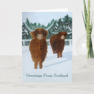 Highland Cattle in Winter Helgkort